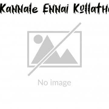 Kannale Ennai Kollathadi (2014)