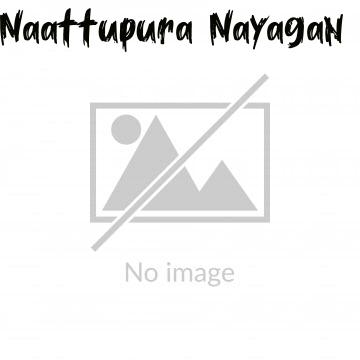 Naattupura Nayagan (1997)