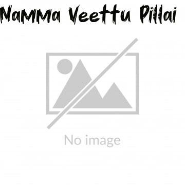 Namma Veettu Pillai (2019)