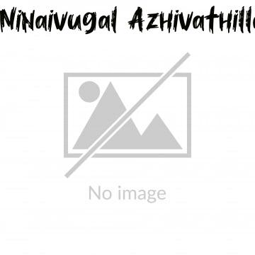 Ninaivugal Azhivathillai (2013)